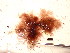  ( - GWS044432)  @11 [ ] Unspecified (default): All Rights Reserved  Unspecified Unspecified
