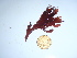  ( - GWS044530)  @11 [ ] Unspecified (default): All Rights Reserved  Unspecified Unspecified