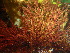  ( - GWS044766)  @11 [ ] Unspecified (default): All Rights Reserved  Unspecified Unspecified