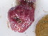  ( - GWS045072)  @11 [ ] Unspecified (default): All Rights Reserved  Unspecified Unspecified