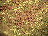  ( - GWS045112)  @11 [ ] Unspecified (default): All Rights Reserved  Unspecified Unspecified