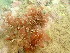  ( - GWS045134)  @11 [ ] Unspecified (default): All Rights Reserved  Unspecified Unspecified
