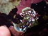  ( - GWS045195)  @11 [ ] Unspecified (default): All Rights Reserved  Unspecified Unspecified