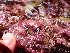  ( - GWS045380)  @11 [ ] Unspecified (default): All Rights Reserved  Unspecified Unspecified