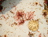  ( - GWS045428)  @11 [ ] Unspecified (default): All Rights Reserved  Unspecified Unspecified