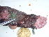  ( - GWS045591)  @11 [ ] Unspecified (default): All Rights Reserved  Unspecified Unspecified