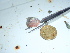  ( - GWS045593)  @11 [ ] Unspecified (default): All Rights Reserved  Unspecified Unspecified