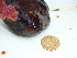  ( - GWS045646)  @11 [ ] Unspecified (default): All Rights Reserved  Unspecified Unspecified