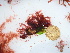  ( - GWS045686)  @11 [ ] Unspecified (default): All Rights Reserved  Unspecified Unspecified