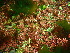  ( - GWS045700)  @11 [ ] Unspecified (default): All Rights Reserved  Unspecified Unspecified