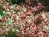  ( - GWS045707)  @11 [ ] Unspecified (default): All Rights Reserved  Unspecified Unspecified