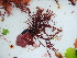  ( - GWS045721)  @11 [ ] Unspecified (default): All Rights Reserved  Unspecified Unspecified