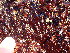  ( - GWS045855)  @11 [ ] Unspecified (default): All Rights Reserved  Unspecified Unspecified