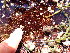  ( - GWS045858)  @11 [ ] Unspecified (default): All Rights Reserved  Unspecified Unspecified