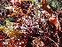  ( - GWS045958)  @11 [ ] Unspecified (default): All Rights Reserved  Unspecified Unspecified
