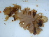  ( - GWS046020)  @11 [ ] Unspecified (default): All Rights Reserved  Unspecified Unspecified