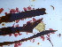  ( - GWS046031)  @11 [ ] Unspecified (default): All Rights Reserved  Unspecified Unspecified