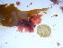  ( - GWS046174)  @11 [ ] Unspecified (default): All Rights Reserved  Unspecified Unspecified