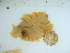  ( - GWS046196)  @11 [ ] Unspecified (default): All Rights Reserved  Unspecified Unspecified