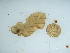  ( - GWS046200)  @11 [ ] Unspecified (default): All Rights Reserved  Unspecified Unspecified