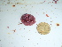  ( - GWS046263)  @11 [ ] Unspecified (default): All Rights Reserved  Unspecified Unspecified