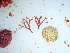  ( - GWS046319)  @11 [ ] Unspecified (default): All Rights Reserved  Unspecified Unspecified