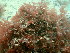 ( - GWS046598)  @11 [ ] Unspecified (default): All Rights Reserved  Unspecified Unspecified