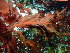 ( - GWS046953)  @11 [ ] Unspecified (default): All Rights Reserved  Unspecified Unspecified