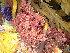  ( - GWS046956)  @11 [ ] Unspecified (default): All Rights Reserved  Unspecified Unspecified