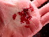  ( - GWS047008)  @11 [ ] Unspecified (default): All Rights Reserved  Unspecified Unspecified