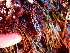  ( - GWS047043)  @11 [ ] Unspecified (default): All Rights Reserved  Unspecified Unspecified