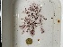  ( - GWS047094)  @11 [ ] Unspecified (default): All Rights Reserved  Unspecified Unspecified