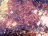  ( - GWS047115)  @11 [ ] Unspecified (default): All Rights Reserved  Unspecified Unspecified