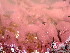  ( - GWS047150)  @11 [ ] Unspecified (default): All Rights Reserved  Unspecified Unspecified