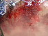  ( - GWS047152)  @11 [ ] Unspecified (default): All Rights Reserved  Unspecified Unspecified