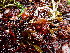 ( - GWS047204)  @11 [ ] Unspecified (default): All Rights Reserved  Unspecified Unspecified