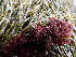  ( - GWS047218)  @11 [ ] Unspecified (default): All Rights Reserved  Unspecified Unspecified