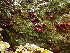  ( - GWS047219)  @11 [ ] Unspecified (default): All Rights Reserved  Unspecified Unspecified
