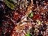  ( - GWS047229)  @11 [ ] Unspecified (default): All Rights Reserved  Unspecified Unspecified