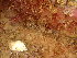  ( - GWS047413)  @11 [ ] Unspecified (default): All Rights Reserved  Unspecified Unspecified