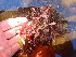  ( - GWS047513)  @11 [ ] Unspecified (default): All Rights Reserved  Unspecified Unspecified