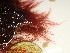  ( - GWS047686)  @11 [ ] Unspecified (default): All Rights Reserved  Unspecified Unspecified
