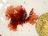  ( - GWS047713)  @11 [ ] Unspecified (default): All Rights Reserved  Unspecified Unspecified