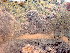  ( - GWS047811)  @11 [ ] Unspecified (default): All Rights Reserved  Unspecified Unspecified