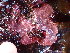  ( - GWS047813)  @11 [ ] Unspecified (default): All Rights Reserved  Unspecified Unspecified