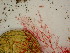  ( - GWS047910)  @11 [ ] Unspecified (default): All Rights Reserved  Unspecified Unspecified