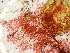  ( - GWS047911)  @11 [ ] Unspecified (default): All Rights Reserved  Unspecified Unspecified