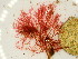  ( - GWS047951)  @11 [ ] Unspecified (default): All Rights Reserved  Unspecified Unspecified