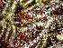  ( - GWS047990)  @11 [ ] Unspecified (default): All Rights Reserved  Unspecified Unspecified