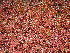  ( - GWS047999)  @11 [ ] Unspecified (default): All Rights Reserved  Unspecified Unspecified